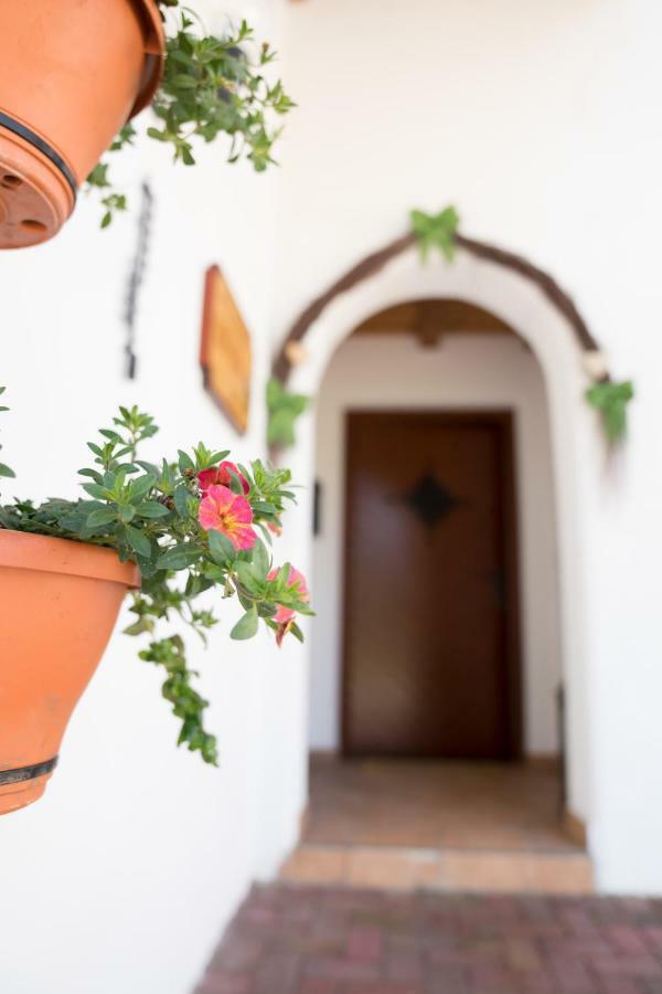 Apartmán Haus Berta Leutasch Exteriér fotografie